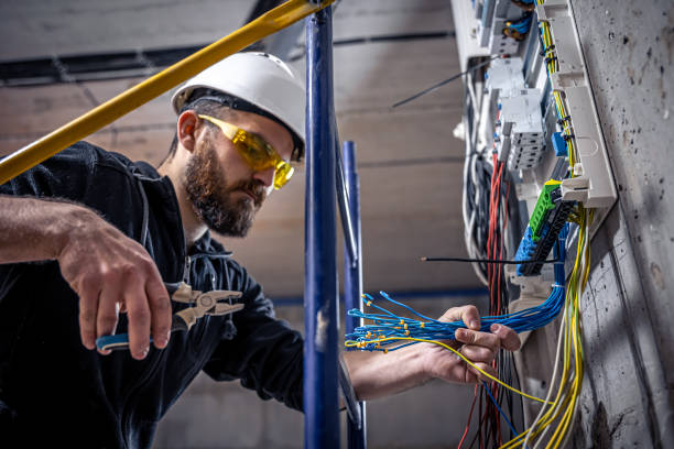 Best Electric Panel Repair  in Clinton, AR